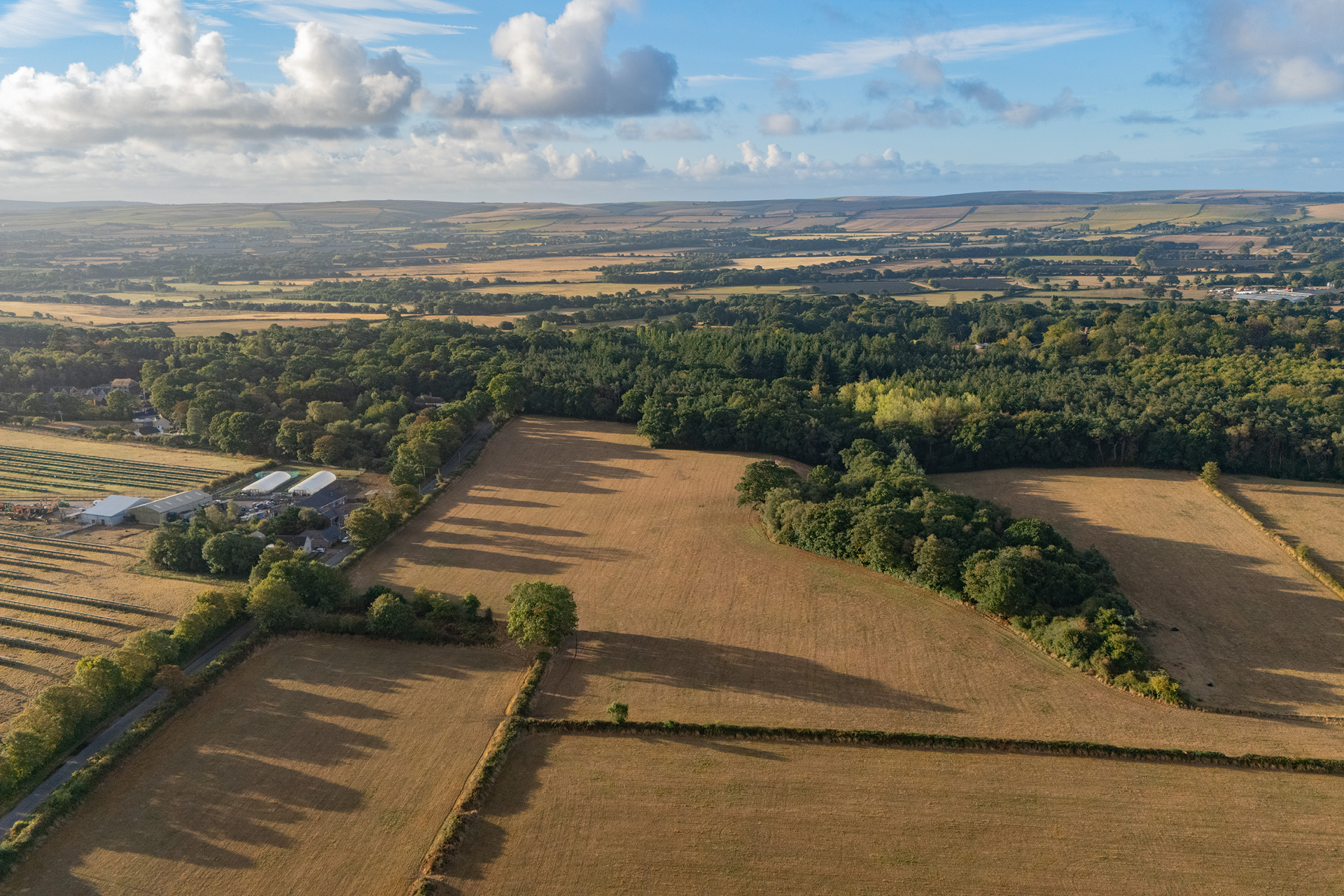 Crossways_Vandermolen_Real_Estate4